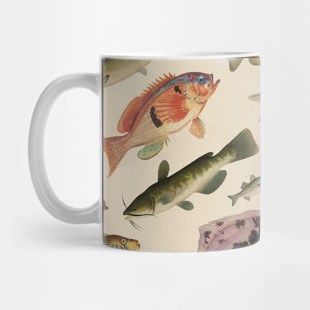 Fishes by SpilloDesign